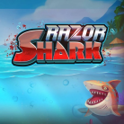 Слот Razor Shark — Push Gaming