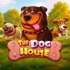 Слот The Dog House — Pragmatic Play